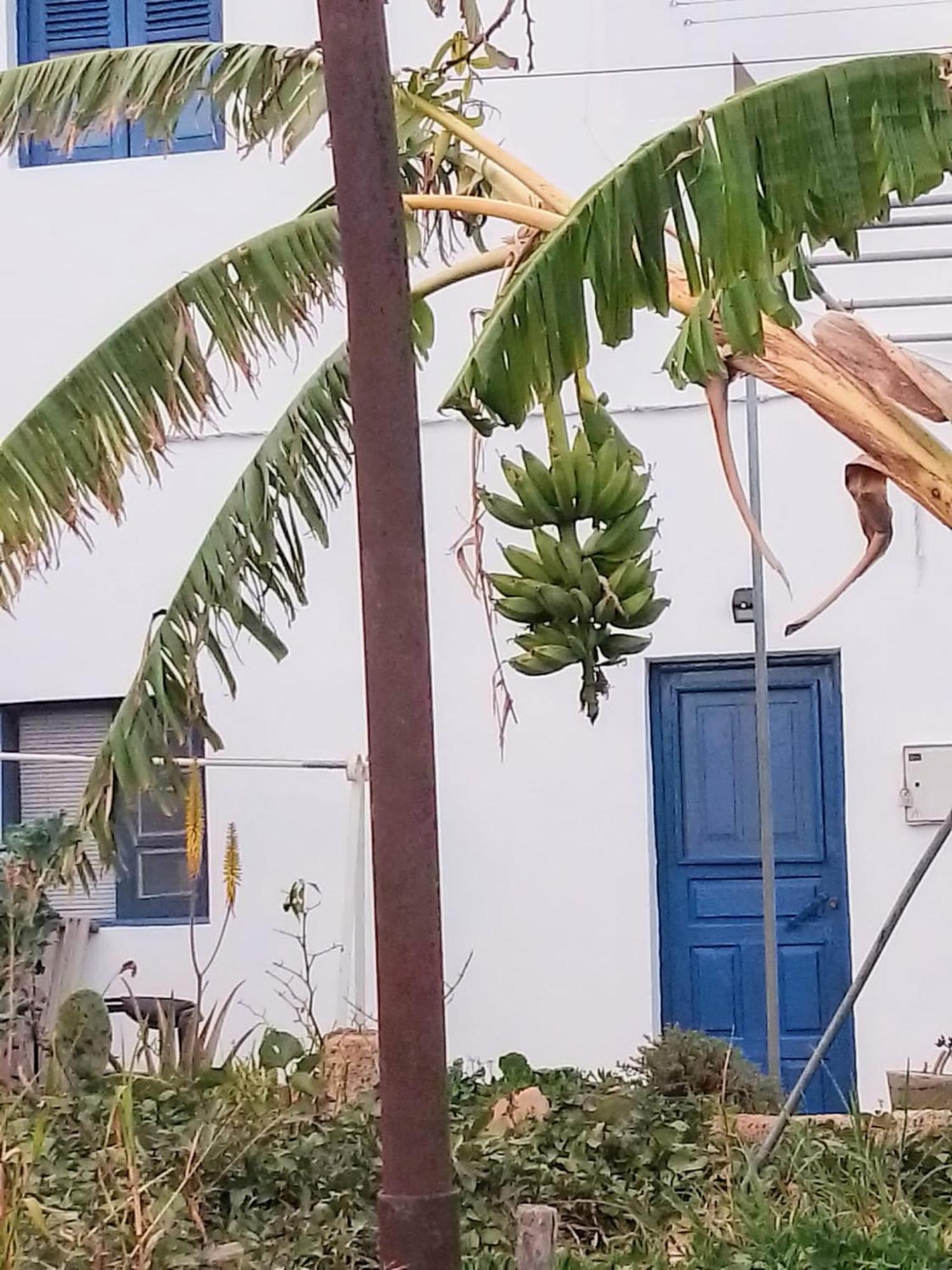 Casa Rural Mary ซานมิเกลเดียโบนา ภายนอก รูปภาพ