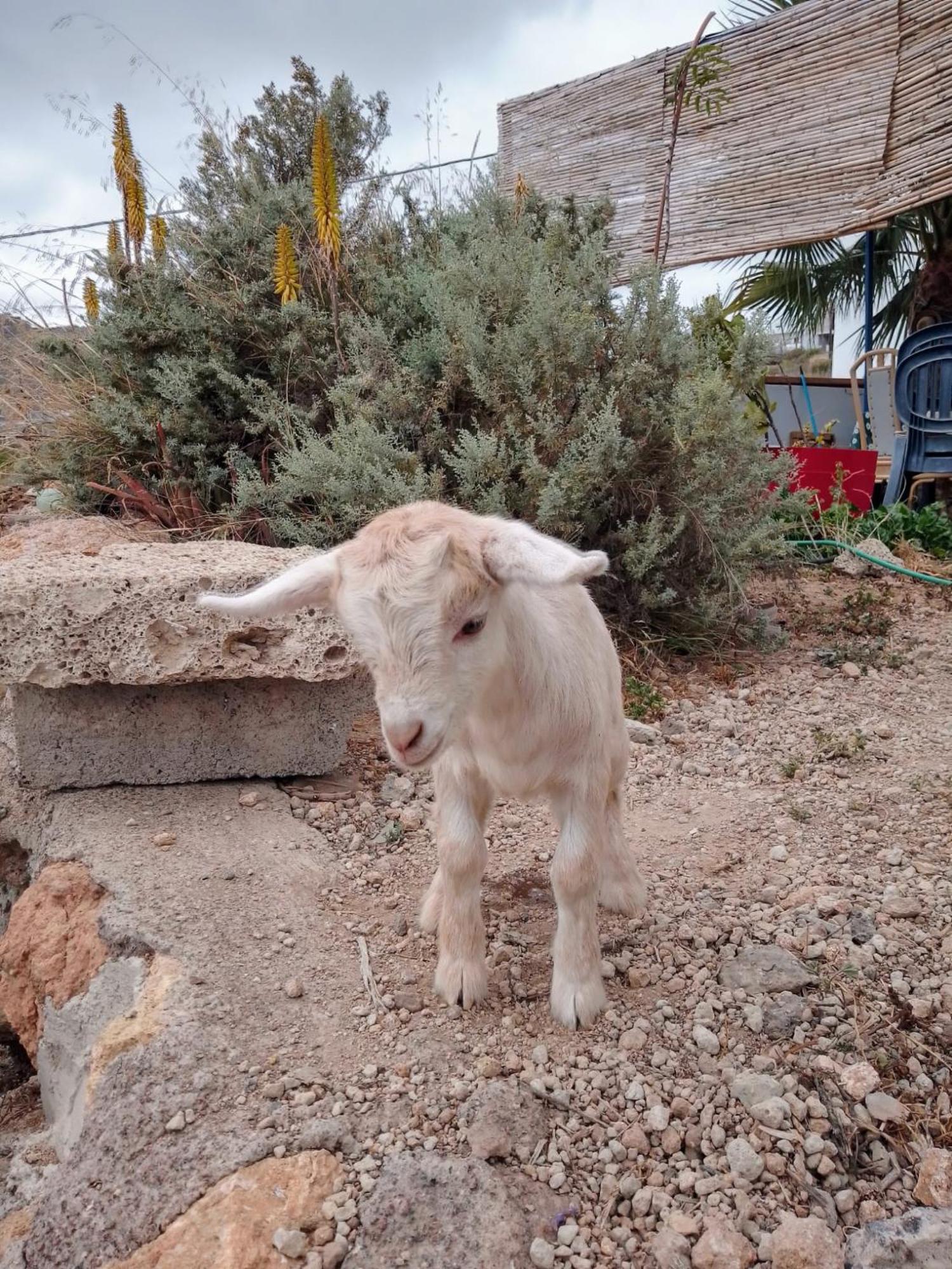 Casa Rural Mary ซานมิเกลเดียโบนา ภายนอก รูปภาพ